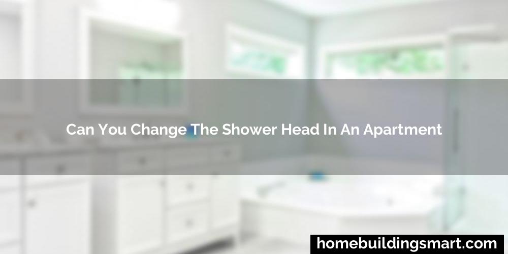 Can You Change The Shower Head In An Apartment