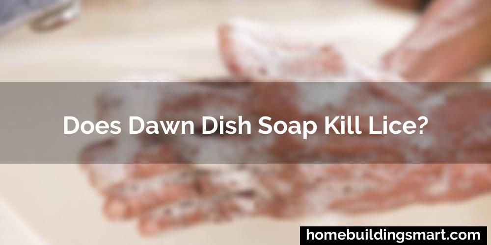 Does Dawn Dish Soap Kill Lice?