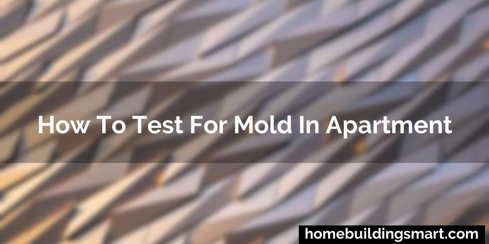 How To Test For Mold In Apartment